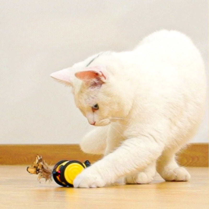 Electric Cat Car Toy Cute Bee Running Kitten