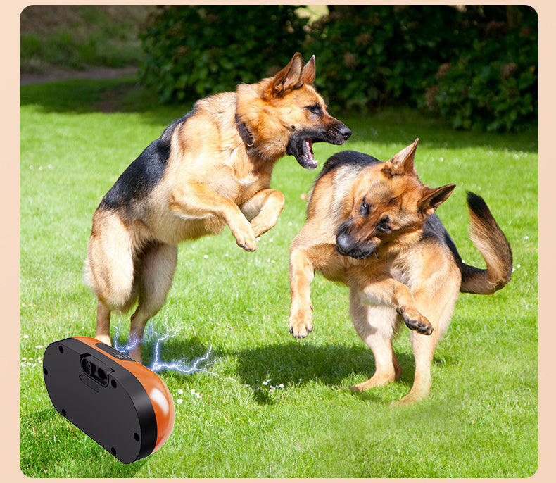 Anti Bark Device