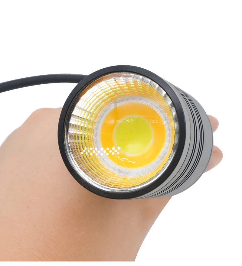 Remote Control Dimmable Lamp Turtle Reptiles