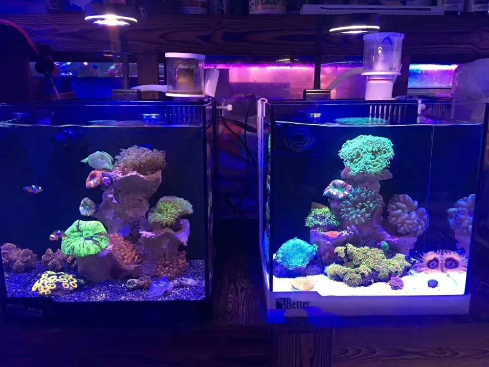 Marine Aquarium LED Light Marine Reef Tank For Coral
