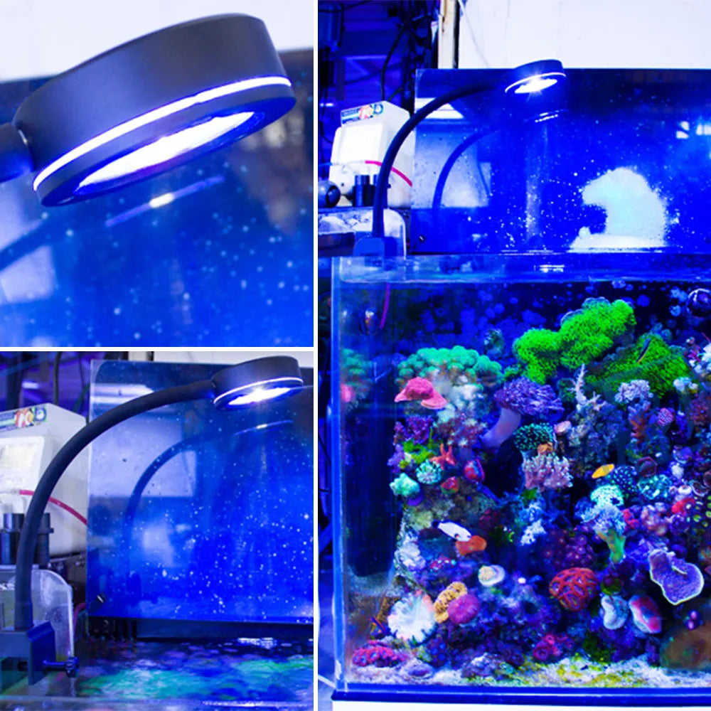 Marine Aquarium LED Light Marine Reef Tank For Coral