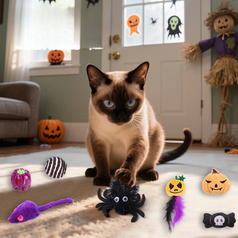 Halloween Cat Chew & Play Toys
