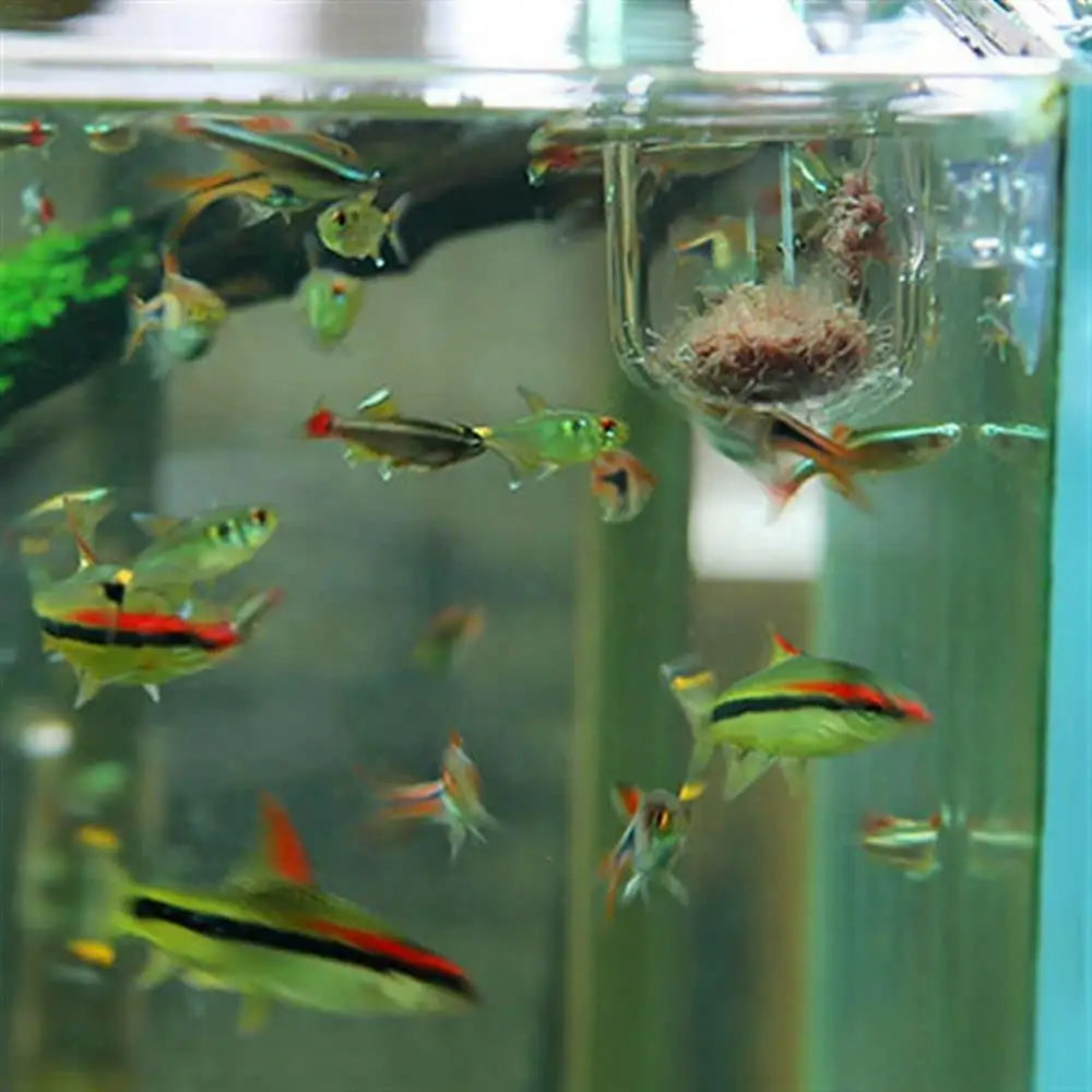 Acrylic Aquatic Plant Cup Aquarium Fish Tank
