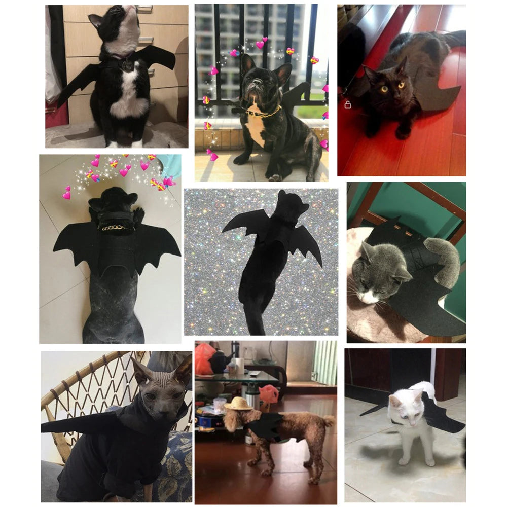 Pet Halloween Costume with Bells