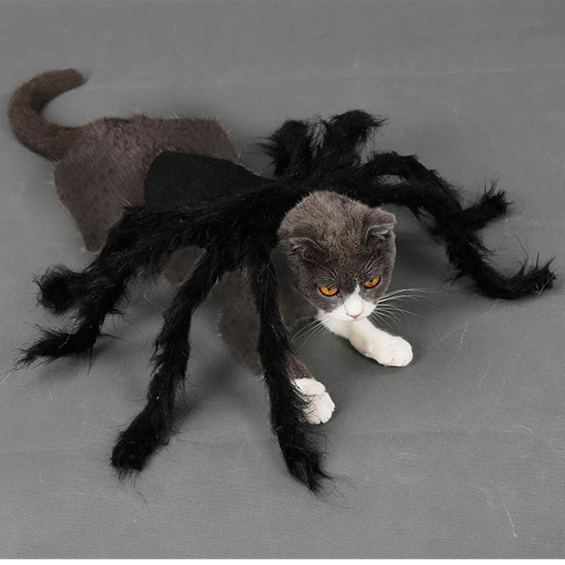Cat Dog Halloween Bat Wings Costume
