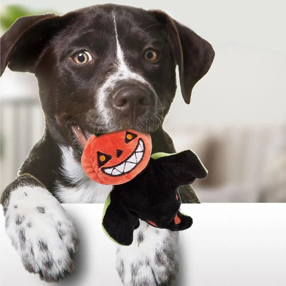 Touch-Activated Flapping Cat Pumpkin