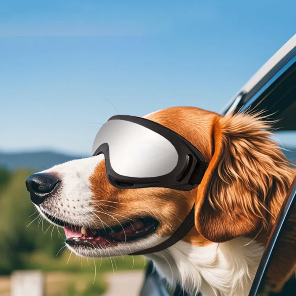 Dog Glasses Adjustable Outdoor Pet Sunglasses for Small Large Dogs Anti-UV Windproof Dog Goggles Pet Eyewear Eye Protection