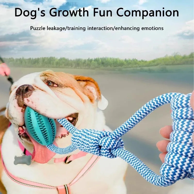 Braided Rope Dog Toys,