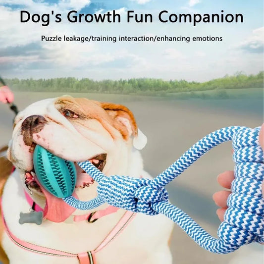 Braided Rope Dog Toys,