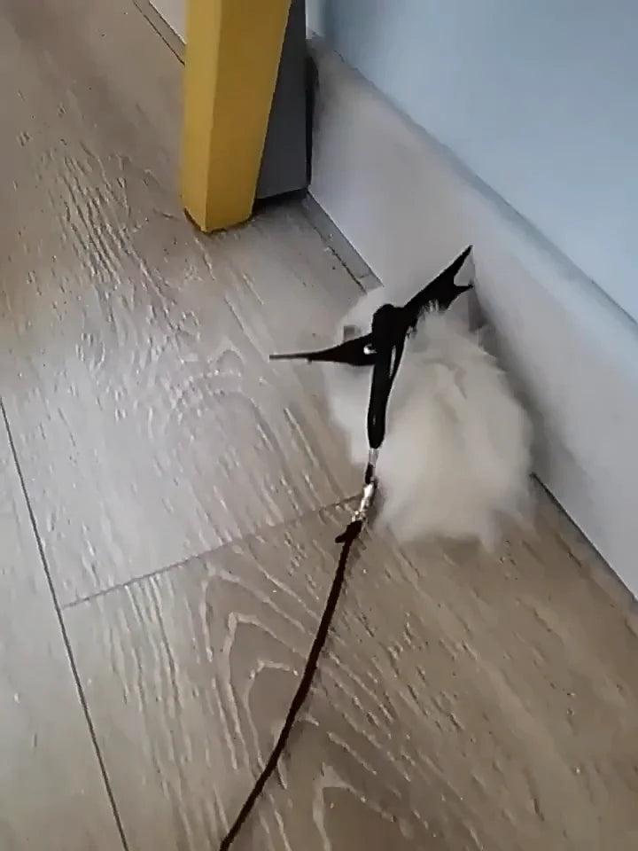 Branch Rat Going Out Leash