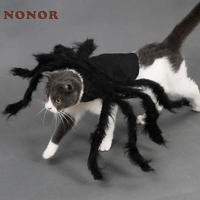 Funny Halloween Pet Spider Outfit