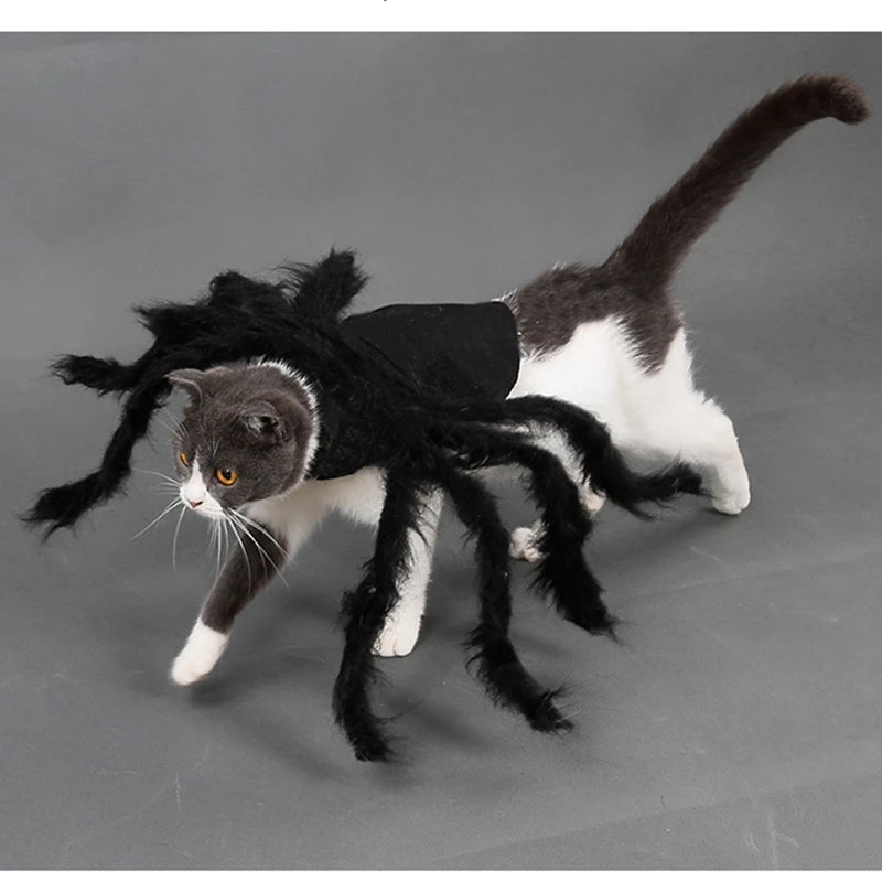 Cat Dog Halloween Bat Wings Costume