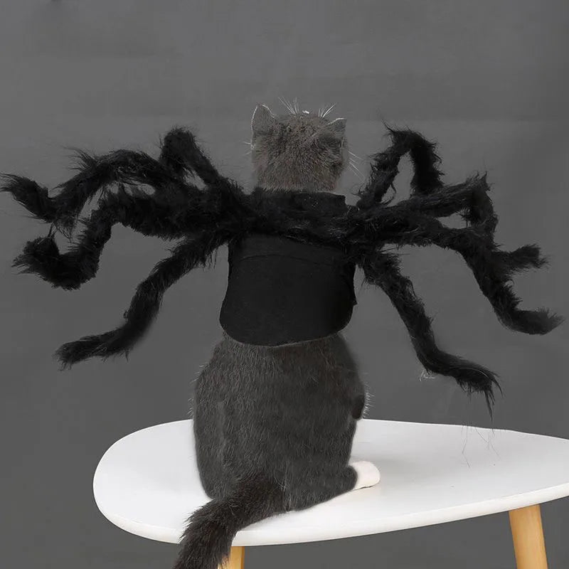 Cat Dog Halloween Bat Wings Costume