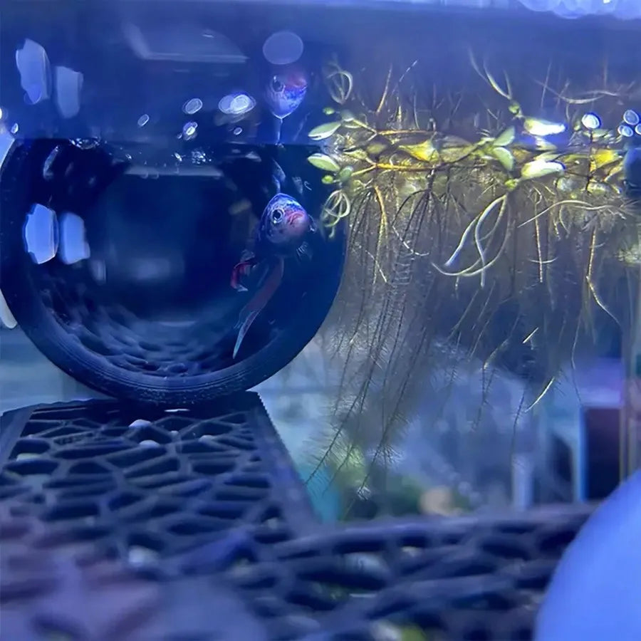 Aquarium Fish Hideout Black Hollow Tube with Suction Cup for Betta and Small Fish Tank Decoration