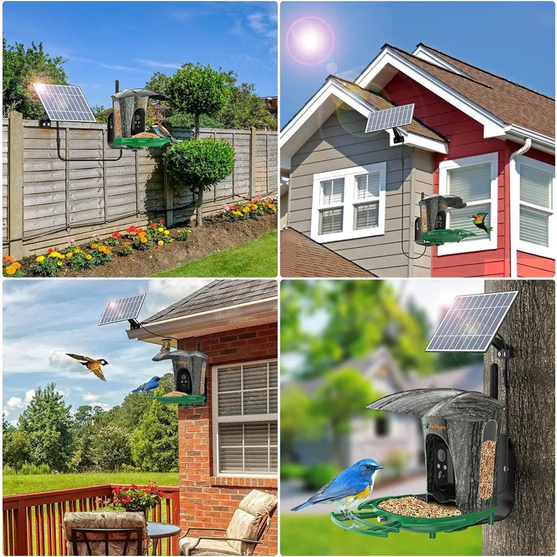 Smart Bird Feeder Camera