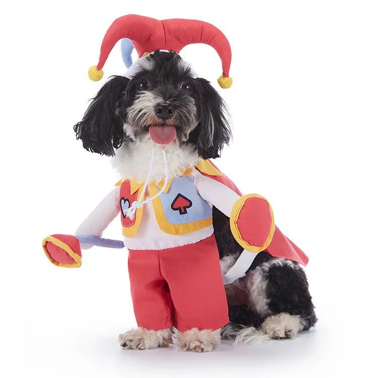 Pet Halloween Party Costume with Hat