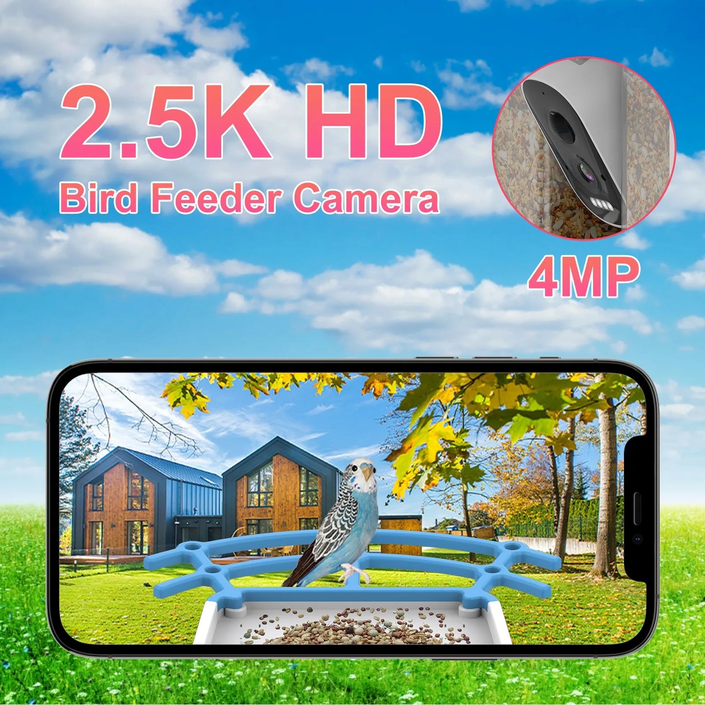 Bird Smart Feeder with Camera 2.5k HD Solar Low Power Night Vision IP66 Waterproof Real Bird Species Feeder