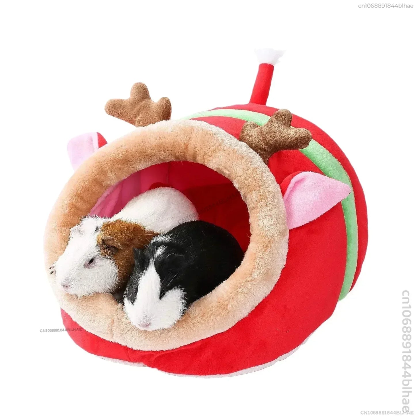 Hamsters Hedgehogs