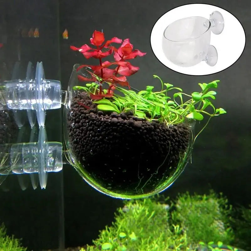 Acrylic Aquatic Plant Cup Aquarium Fish Tank