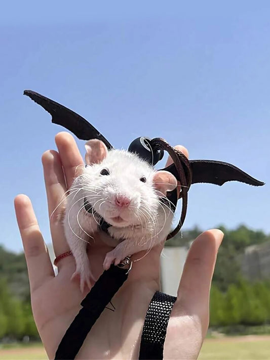 Branch Rat Going Out Leash
