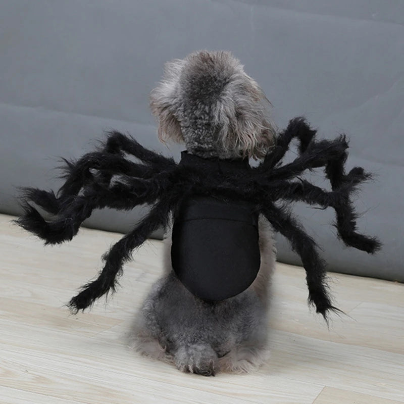 Cat Dog Halloween Bat Wings Costume