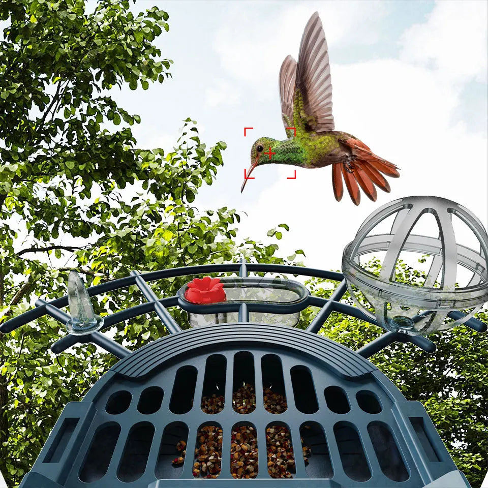 XVIM 3MP WiFi Automatic Smart Bird Feeder Motion Detection Color Night Vision Device  iCSee App Control Sunlight Wildlife Camera