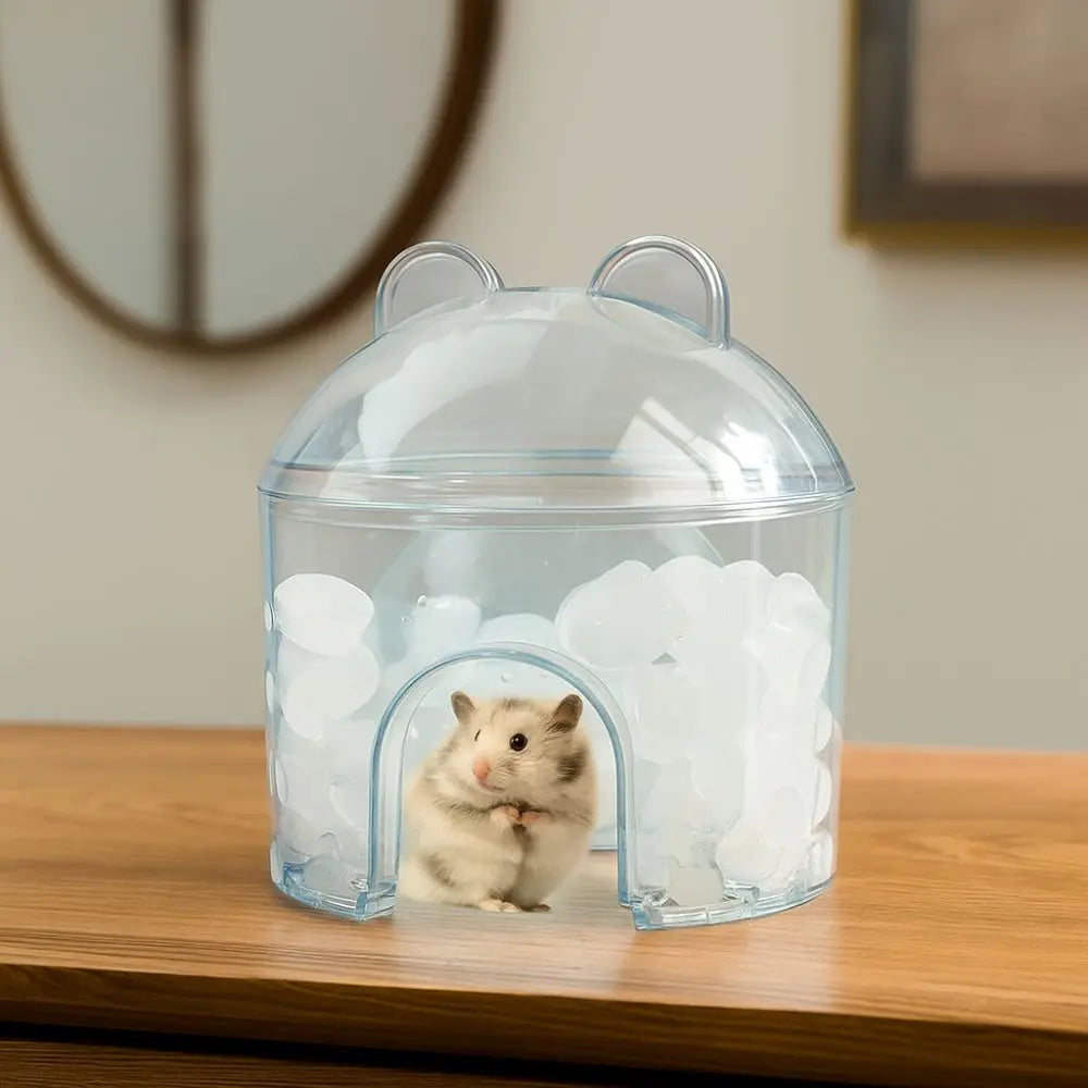 Transparent Hamster Cooling House Hollowed-out