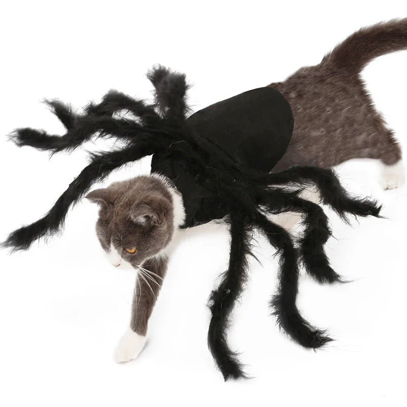 Cat Dog Halloween Bat Wings Costume