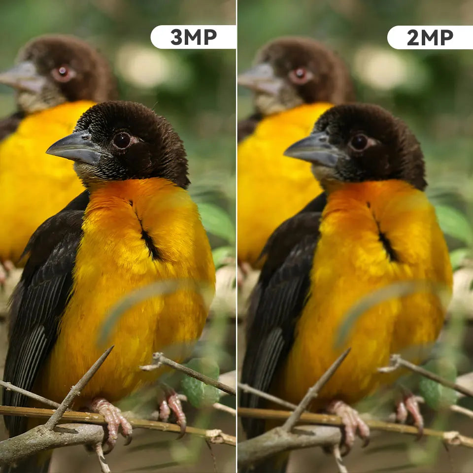 XVIM 3MP WiFi Automatic Smart Bird Feeder Motion Detection Color Night Vision Device  iCSee App Control Sunlight Wildlife Camera