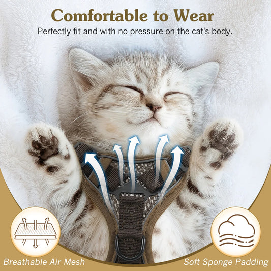"Breathable Mesh cat Harness & Leash Set – Reflective & Adjustable"
