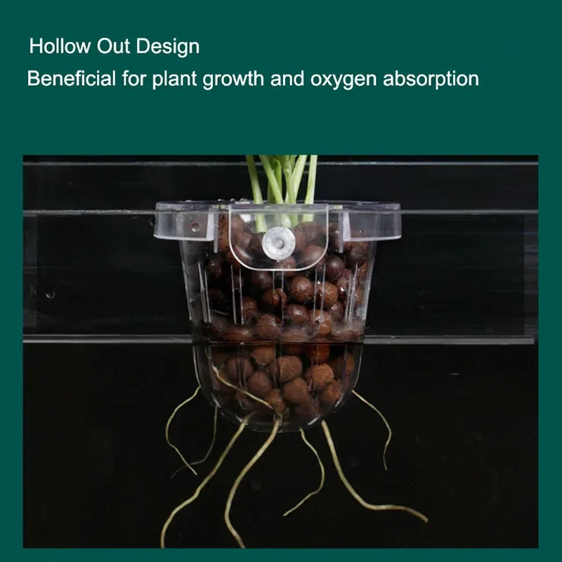Aquarium Plant Holder Hangable Fish Tank Water Grass Planting Hydroponic