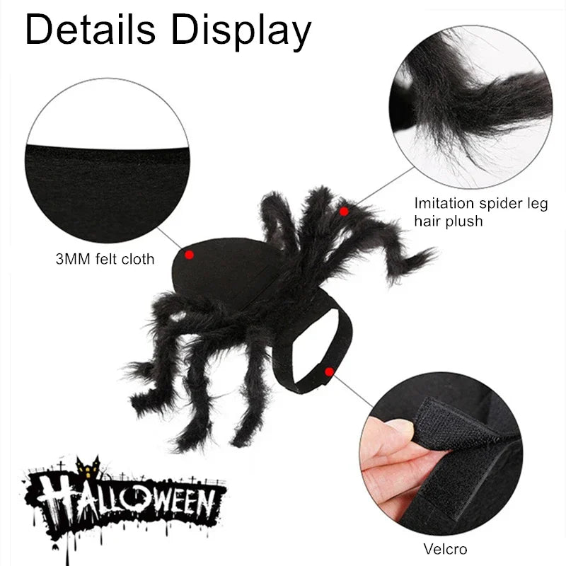 Funny Halloween Pet Spider Outfit