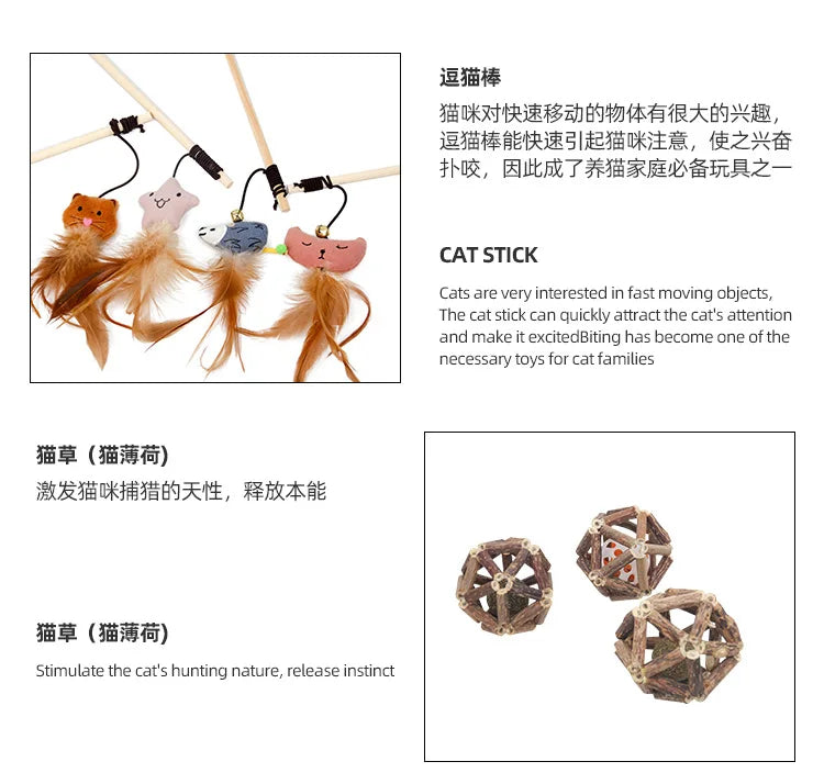 Halloween Cat Teaser Stick Toy
