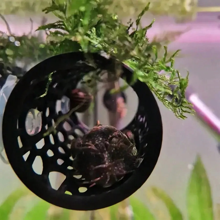 Aquarium Fish Hideout Black Hollow Tube with Suction Cup for Betta and Small Fish Tank Decoration