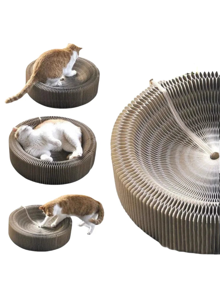 Kitten Curl Toy – Foldable Magic Cat Scratcher & Interactive Bed