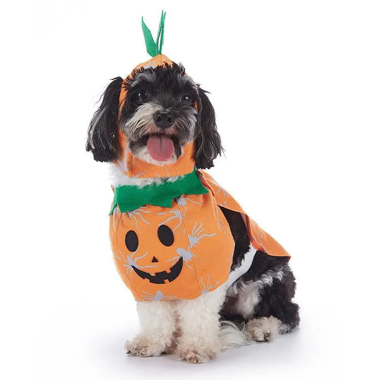 Pet Halloween Party Costume with Hat