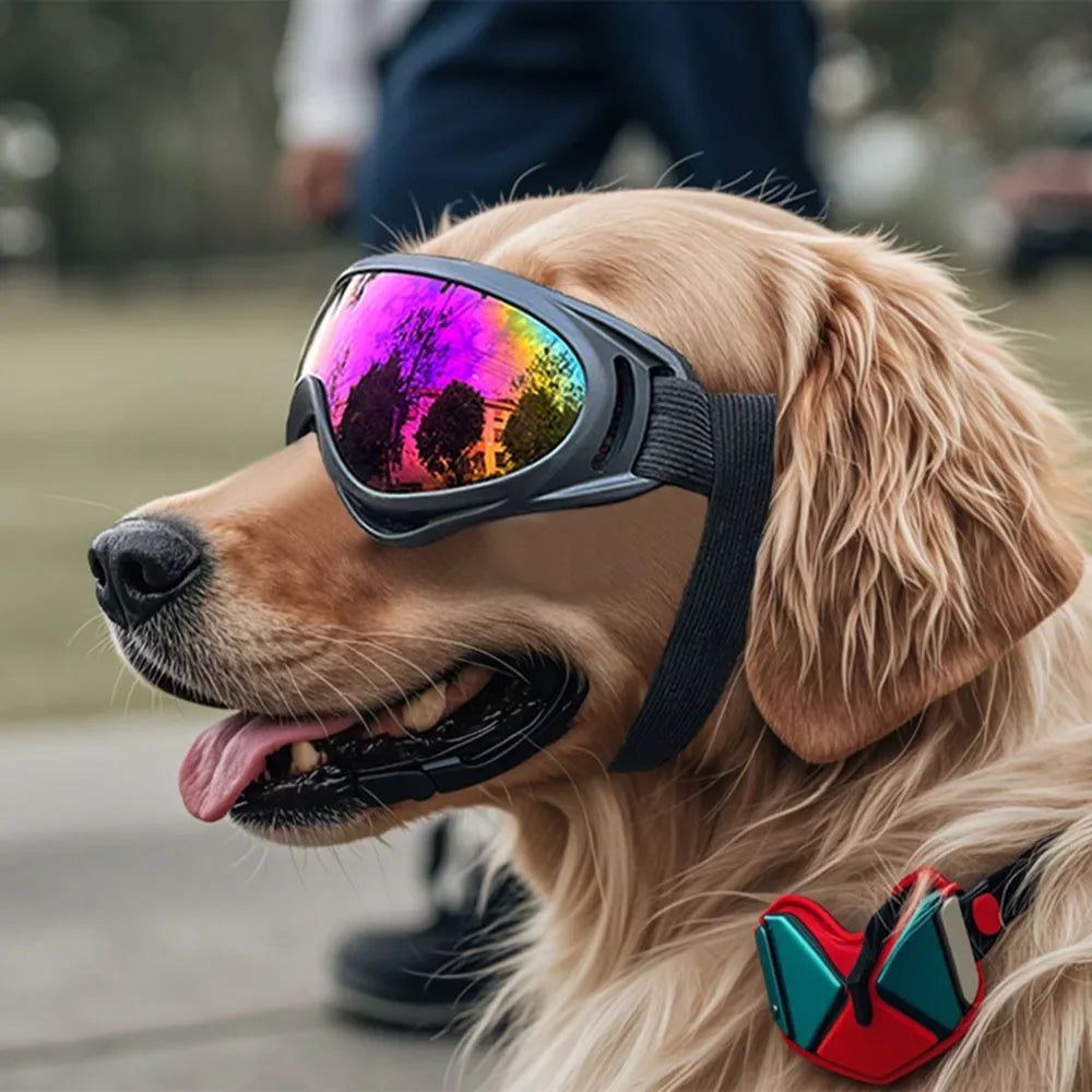 Dog Glasses Adjustable Outdoor Pet Sunglasses for Small Large Dogs Anti-UV Windproof Dog Goggles Pet Eyewear Eye Protection