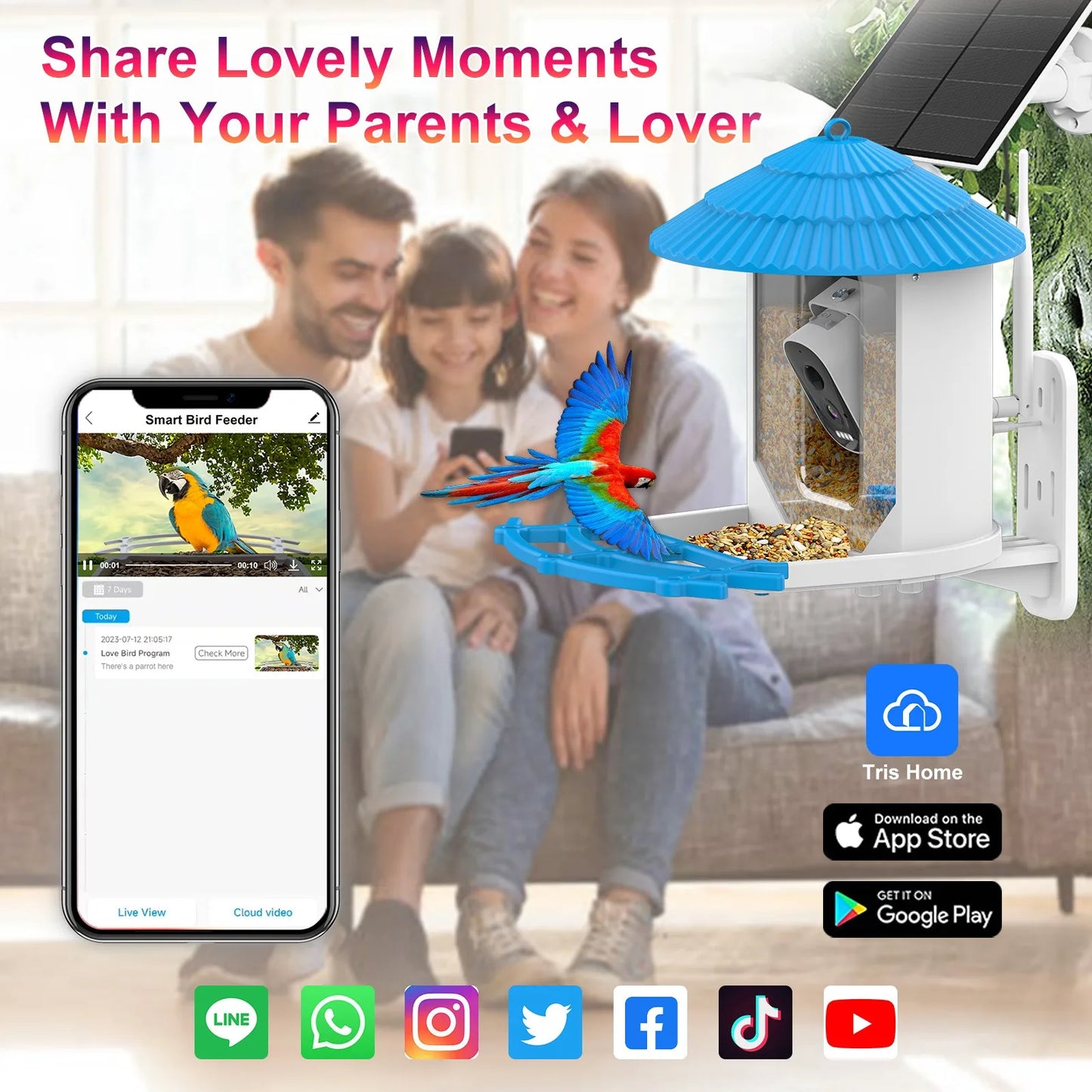 Bird Smart Feeder with Camera 2.5k HD Solar Low Power Night Vision IP66 Waterproof Real Bird Species Feeder