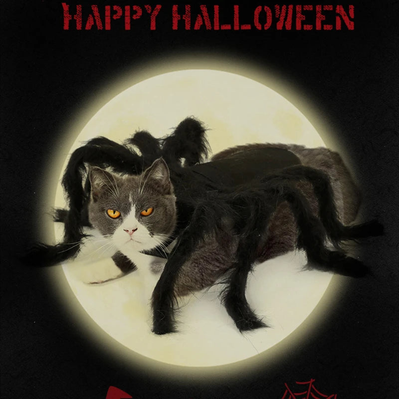 Cat Dog Halloween Bat Wings Costume