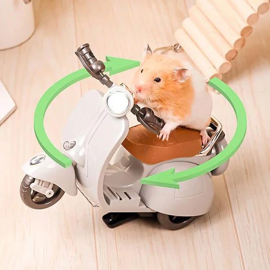 Rotating Motorcycle
