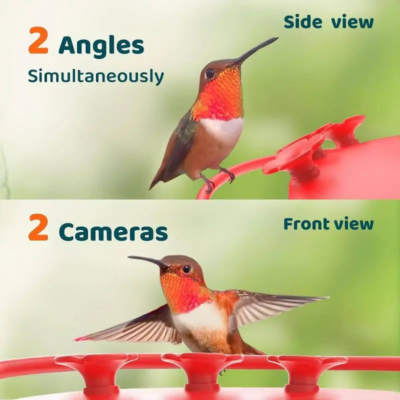 Smart Hummingbird Feeder with HD Cameras Solar Powered AI Bird Recognition Motion Detection Weatherproof 20oz Nectar Reservoir