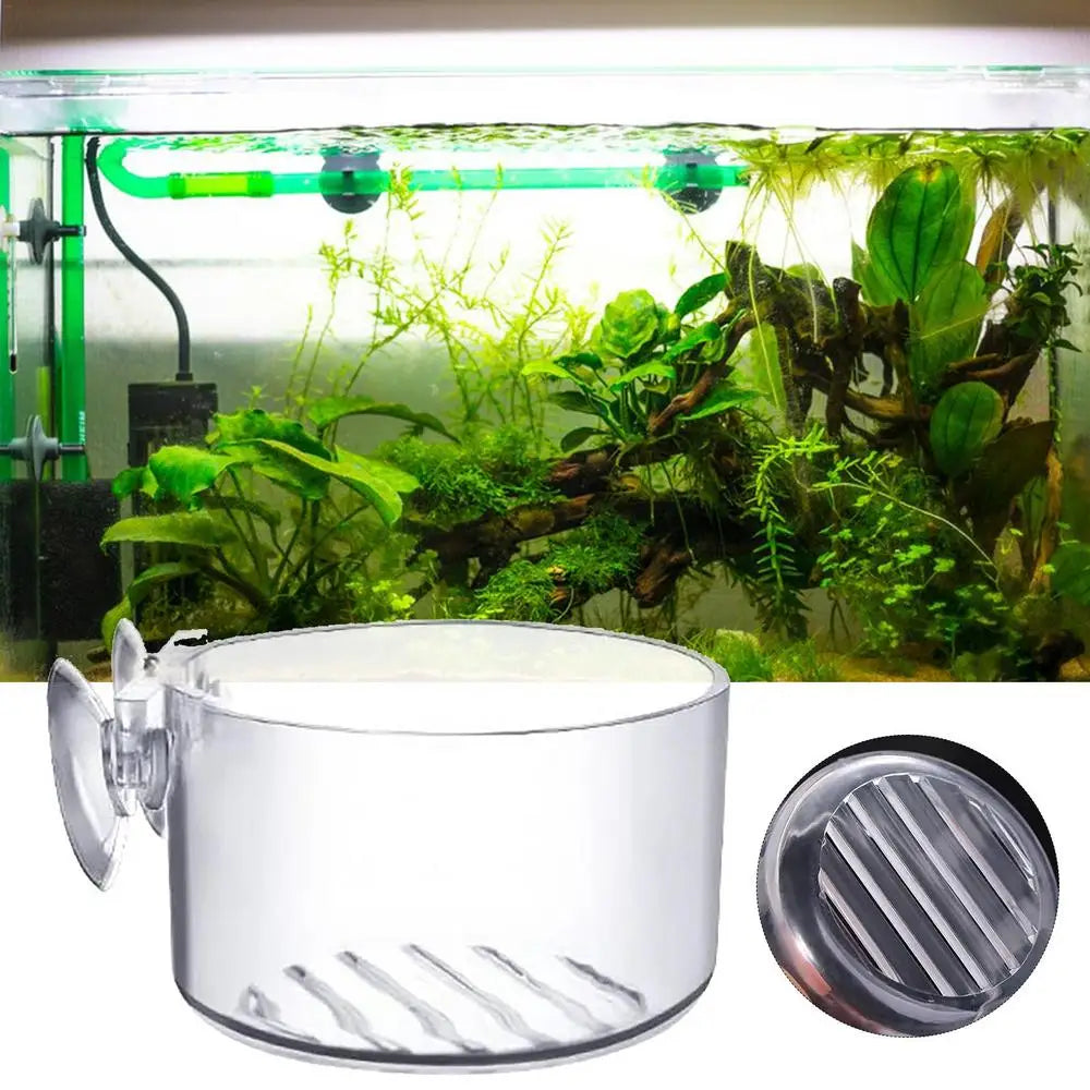 Acrylic Aquatic Plant Cup Aquarium Fish Tank