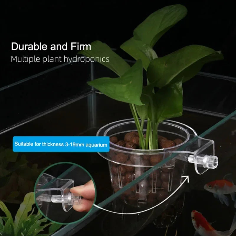 Aquarium Plant Holder Hangable Fish Tank Water Grass Planting Hydroponic
