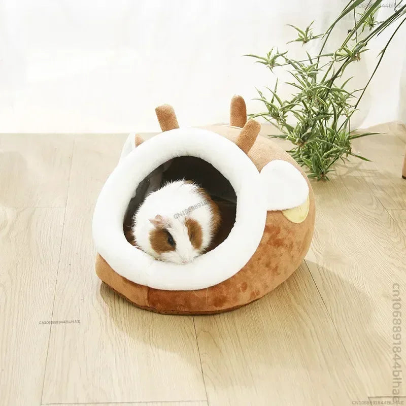 Hamsters Hedgehogs