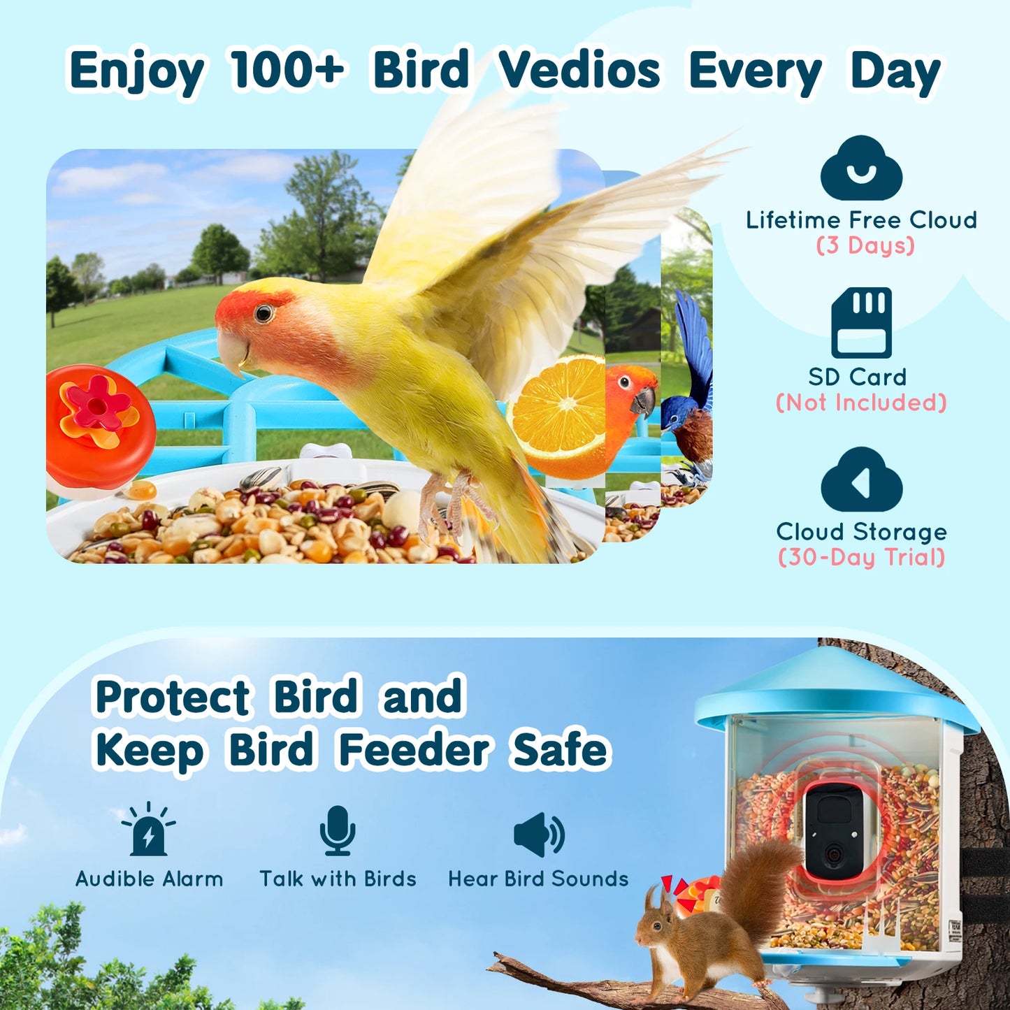 SucceBuy Smart Bird Feeder with Camera