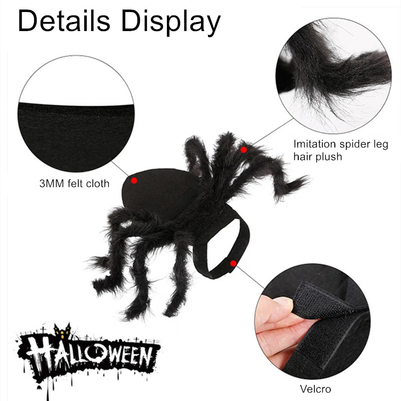 Cat Dog Halloween Bat Wings Costume