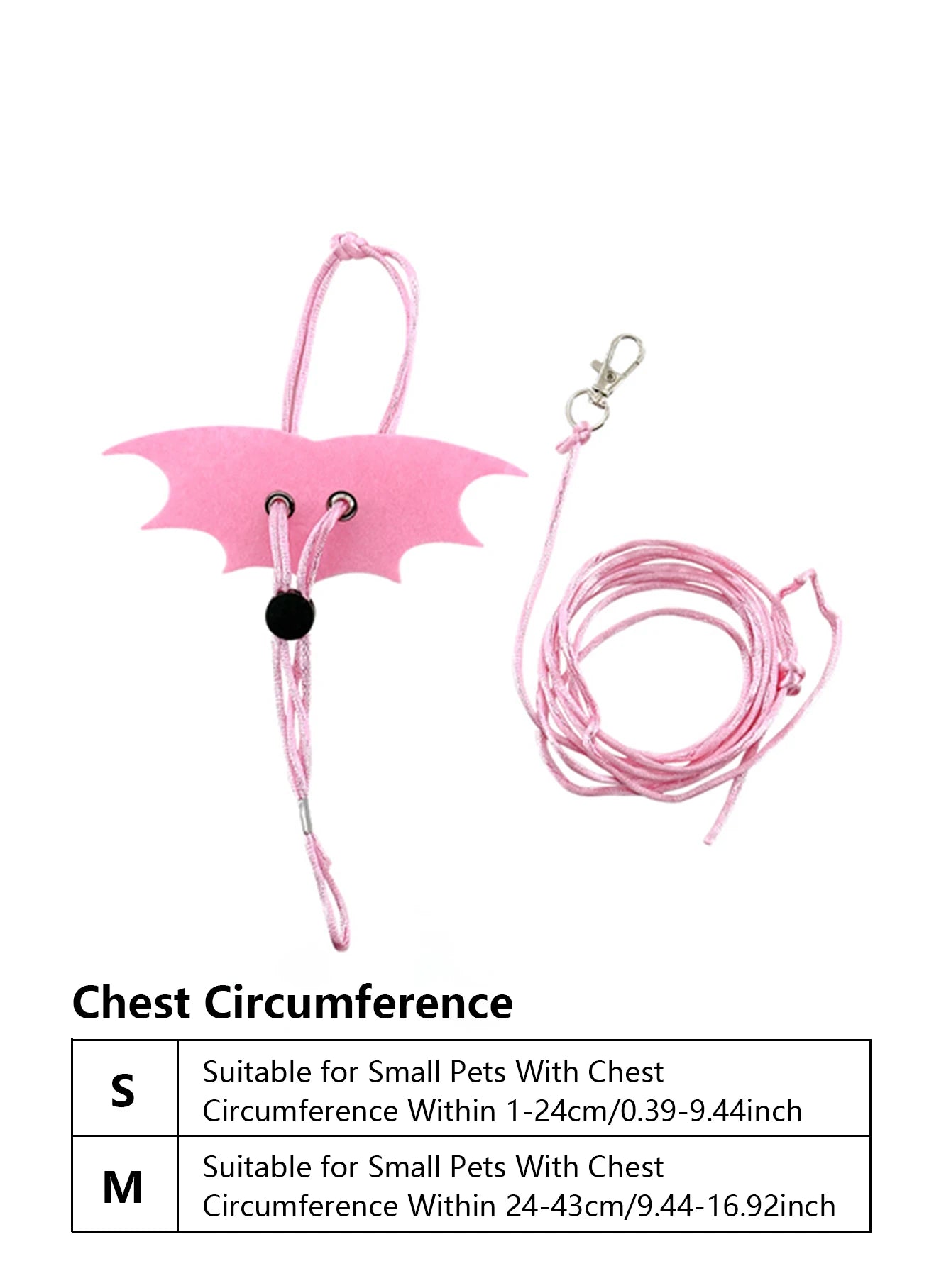 Branch Rat Going Out Leash