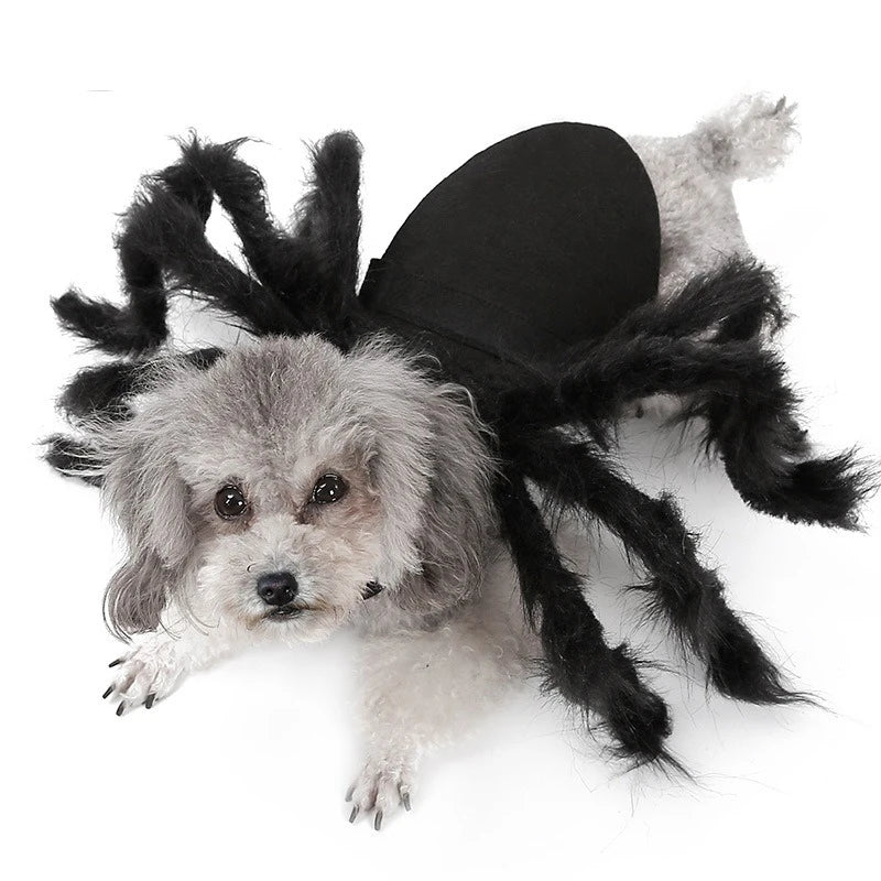 Cat Dog Halloween Bat Wings Costume