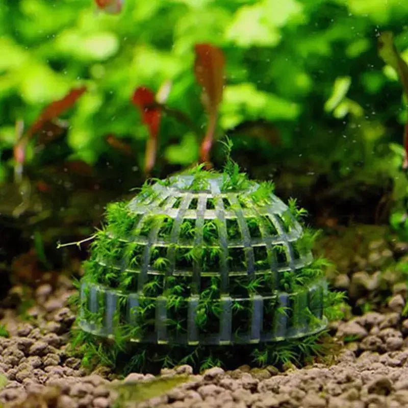 Fish Tank Decoration Natural Wooden Small Habitat Roots Driftwood Scenery