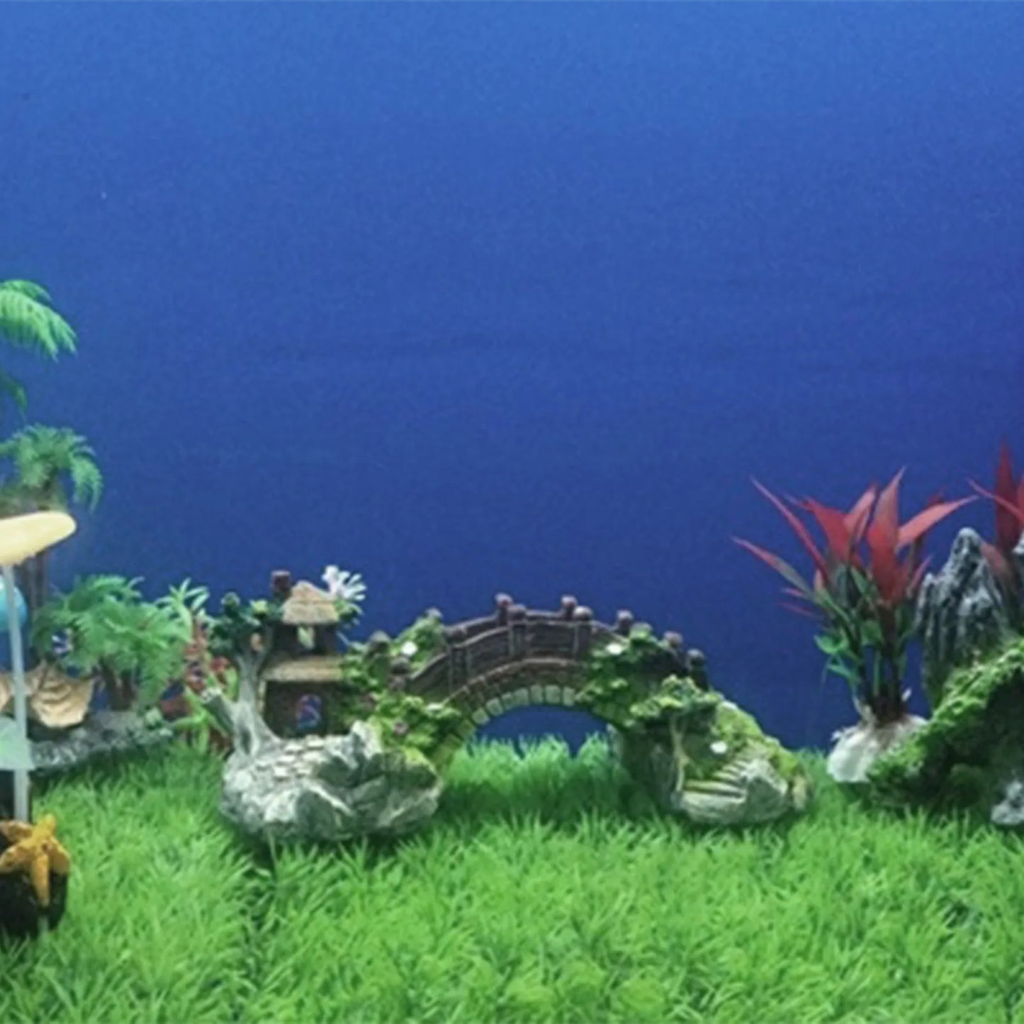 Bridge Aquarium Equipment